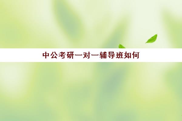 中公考研一对一辅导班如何(考研一对一辅导怎么样)