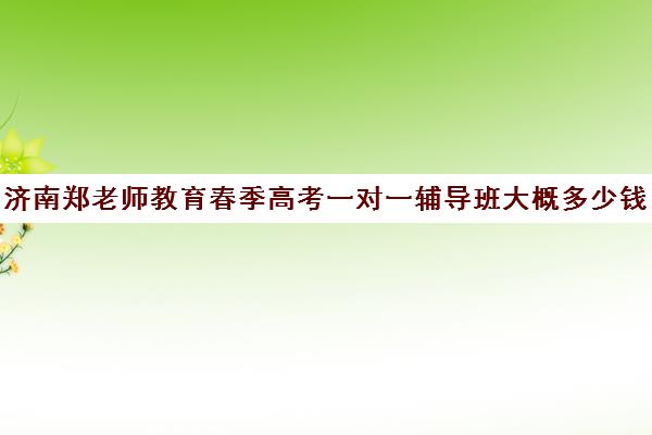 济南郑老师教育春季高考一对一辅导班大概多少钱（济南新东方高三冲刺班收费价格表）