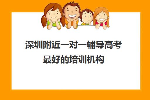 深圳附近一对一辅导高考最好的培训机构(一对一辅导机构哪个好)