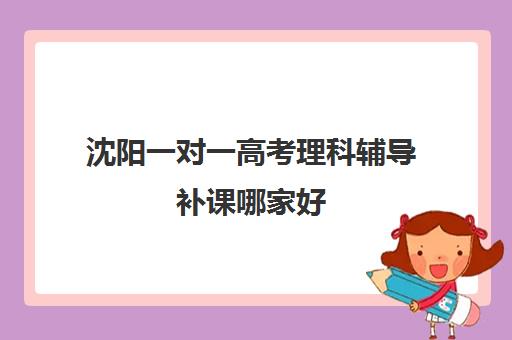 沈阳一对一高考理科辅导补课哪家好(一对一补课现在多少一个小时)