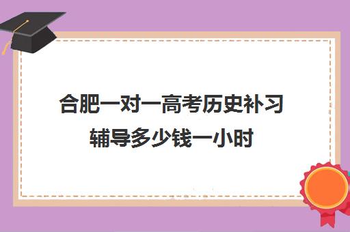 合肥一对一高考历史补习辅导多少钱一小时