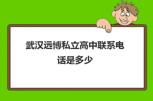 武汉远博私立高中联系电话是多少(武汉十大最好的职高民办)