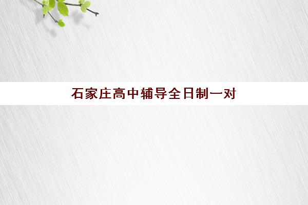 石家庄高中辅导全日制一对一什么时候报名考试？2025年最新时间表、流程解析与备考全攻略