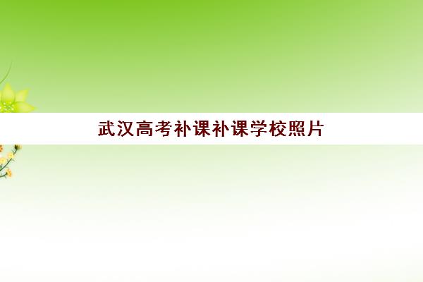 武汉高考补课补课学校照片要求是什么样的？2025年最新标准详解、拍摄技巧与上传问题全解决方案