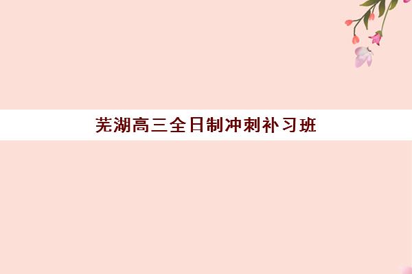 芜湖高三全日制冲刺补习班辅导机构排名一览表：2025年最新十大机构对比、择校指南与避坑全攻略