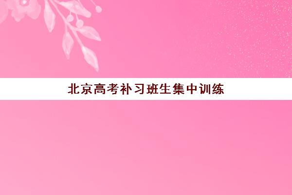 北京高考补习班生集中训练营在哪报名？2025年最新报名渠道、流程详解与机构选择全指南