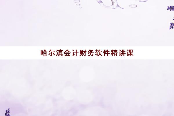 哈尔滨会计财务软件精讲课程班培训机构哪家好？2025年最新排名、择校标准与学习指南全解析
