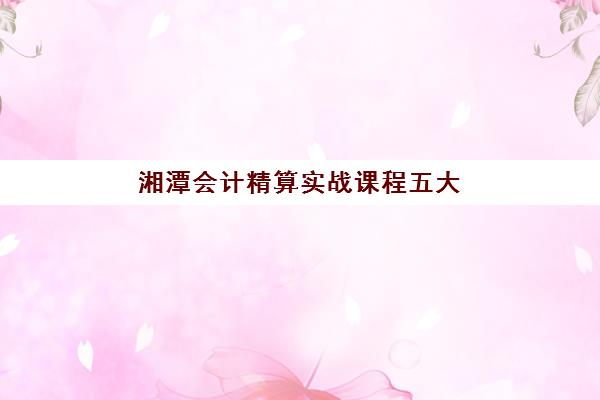 湘潭会计精算实战课程五大机构服务白皮书如何获取？2025年最新机构对比、服务详情与择校全攻略