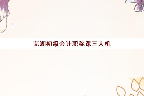 芜湖初级会计职称课三大机构服务成本公示，2025年仁和、臣信、恒企价格对比与选课指南