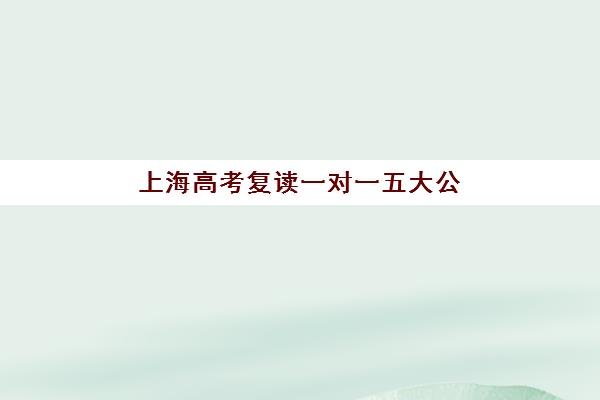 上海高考复读一对一五大公办机构运营如何分析？2025年最新商业模式、师资体系与市场竞争力全解读