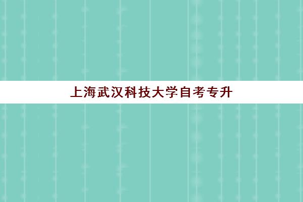 上海武汉科技大学自考专升本业余课程2025年成绩何时查？详细查询步骤与时间节点解读