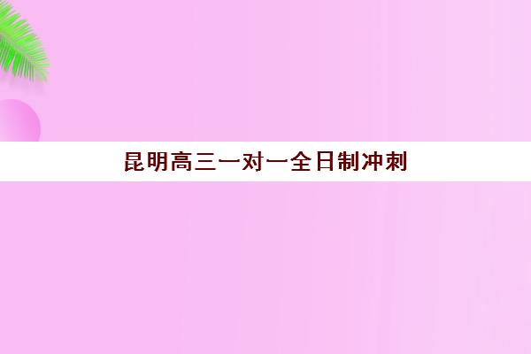 昆明高三一对一全日制冲刺机构优质服务案例如何借鉴？2025年十大真实成功案例深度剖析与科学择校全流程指南