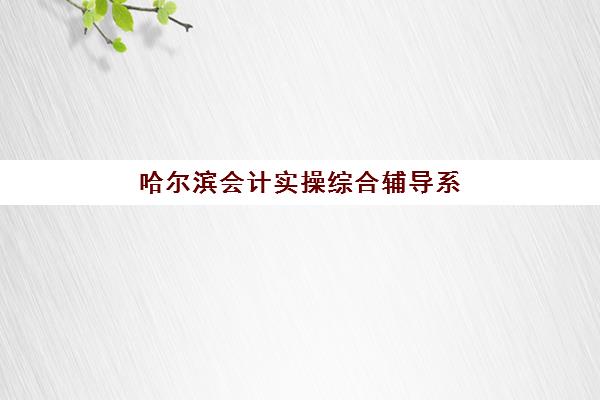哈尔滨会计实操综合辅导系列课程集训营排名榜最新公布？2025年课程费用与机构选择全指南