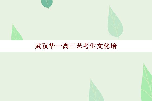 武汉华一高三艺考生文化培训班怎么收费？2025年收费标准全面解析与高性价比选班策略实用指南