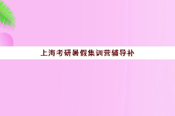 上海考研暑假集训营辅导补习机构用户口碑如何？2025年最新十大机构口碑排名与择校指南