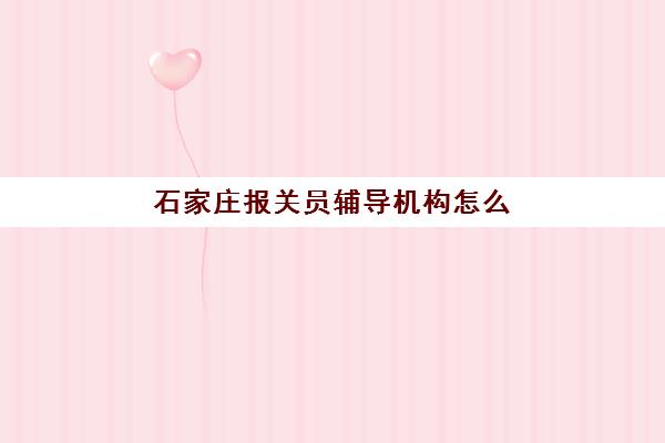 石家庄报关员辅导机构怎么选？2025年最新费用明细、课程对比与避坑指南