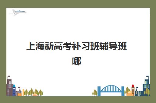 上海新高考补习班辅导班哪个比较好一点？2025年最新TOP10排名、各机构特色解析与科学择校全攻略