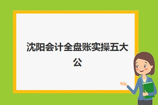 沈阳会计全盘账实操五大公办机构运营分析如何做？2025年最新解析、对比方法与择校全指南
