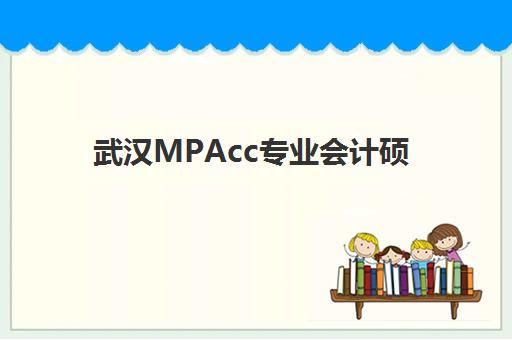 武汉MPAcc专业会计硕士全程课程培训班哪个最好一点？2025年最新排名解析与择校指南