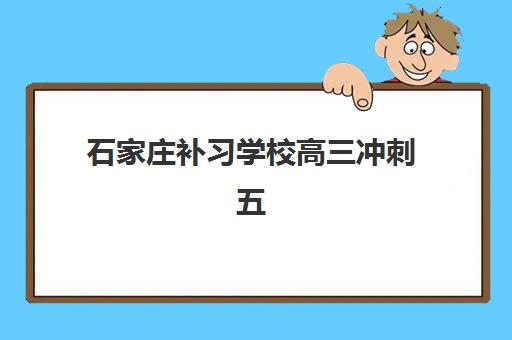 石家庄补习学校高三冲刺五大机构服务白皮书如何获取？2023年权威数据解读、择校指南与避坑攻略全解析