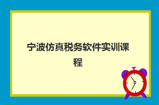 宁波仿真税务软件实训课程预报名指南：考点查询与2025年课程全解析