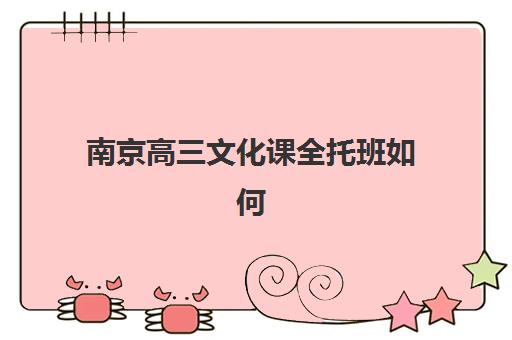 南京高三文化课全托班如何选？2025年资深教育博主亲测5大顶尖辅导学校深度对比