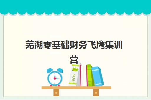 芜湖零基础财务飞鹰集训营2025年时间公布如何查询？最新课程安排、报名流程与培训优势全解析