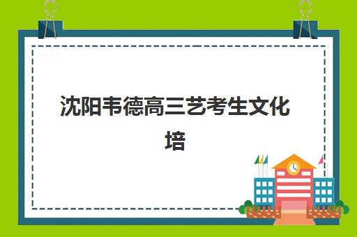 沈阳韦德高三艺考生文化培训班收费标准一览表，2025年收费详情全面解读与高性价比报读指南