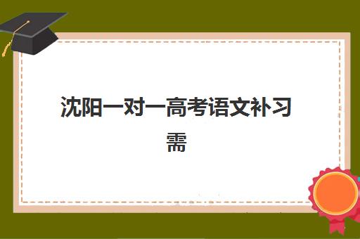 沈阳一对一高考语文补习需要现场确认吗现在？2025年最新报名流程详解、各机构确认方式对比与高效报名全指南