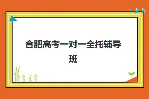 合肥高考一对一全托辅导班哪个比较好一点？2025年最新排名前十、选择指南与成功案例深度解析