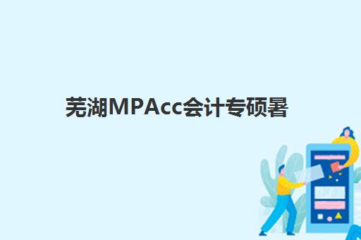 芜湖MPAcc会计专硕暑期集训机构怎么选？2025年最新排名、课程费用对比与择校指南