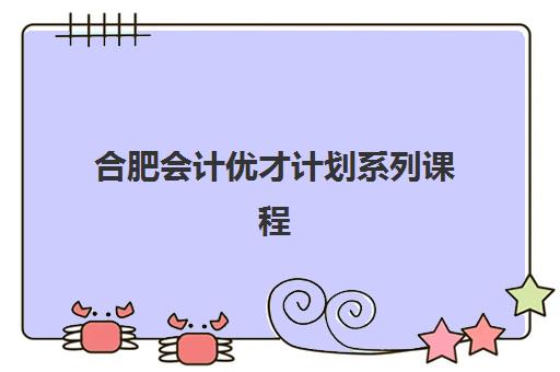 合肥会计优才计划系列课程集训营排名前十的学校有哪些？2025年最新实力对比与择校指南