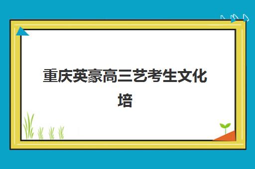 上海MAud审计硕士备考精品课程辅导班如何选择？2025年最新机构推荐与择校全攻略