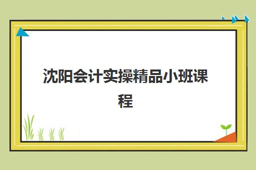 沈阳会计实操精品小班课程辅导机构如何选？2025年最新排名与性价比全解析