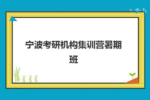 宁波考研机构集训营暑期班培训机构哪家好一点？2025年最新机构对比、选择指南与性价比全解析